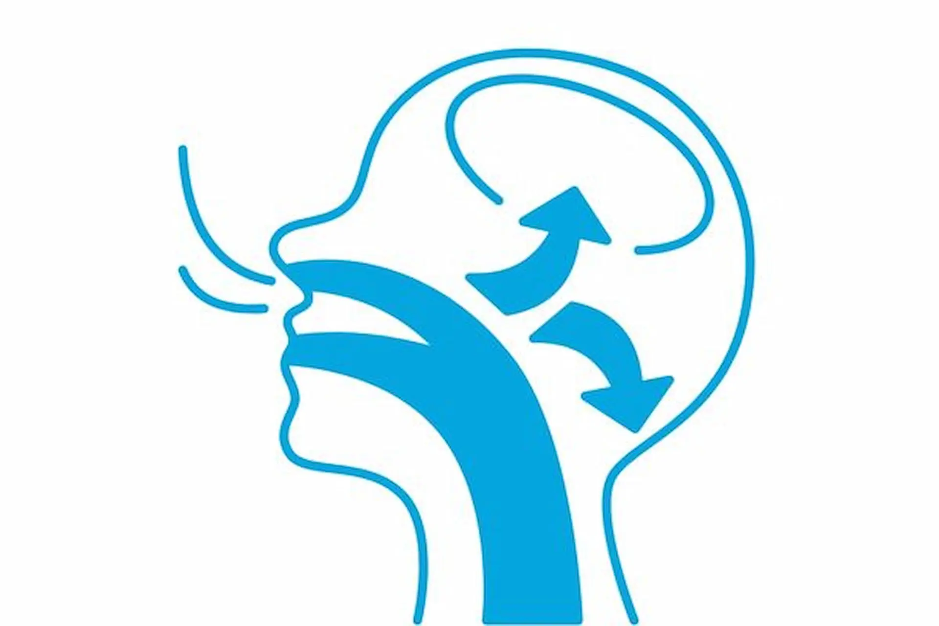 The diagram illustrates airflow pathways for a mouth breather in a human head side view, with arrows showing direction from nose and mouth toward the brain. This is part of a study by Levine Orthodontics in Fort Myers, Cape Coral or Lehigh Acres, FL.